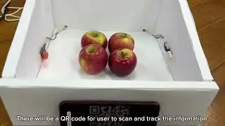 Automated display rack for fruit freshness detection using RaspiberryPi microcontroller