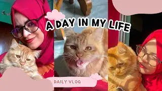 A day in mu life #cat #animalcat #cococat #cocobaby #prettyfunny #cuteanimal 