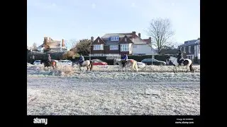 (4K) Wimbledon common | Wimbledon village | SW19 | London walking tour