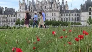 Loire chateaux draw on history to seduce tourists this summer | AFP