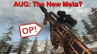 Cold War AUG: The New Meta? You need to try it! | Call of Duty: Black Ops Cold War/Warzone #shorts