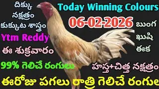 06 ఫిబ్రవరి 2026 ఈ రోజు పగలు రాత్రి గెలిచే రంగులు