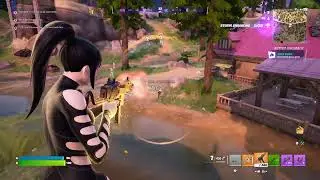 Fortnite_2026 Solo Win With Stick The Truth