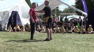 CYK Kung Fu & Tai Chi - Party in the Park 2015 - full video