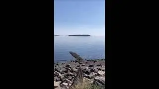 Sydney Vancouver Island Views filmed by Expat Shaun