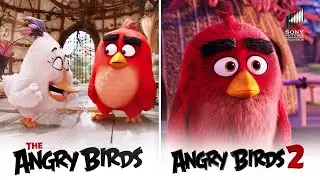 The Infinity Acceptance Group & Always Lonely | The Angry Birds 1 and 2