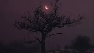 Алексей Вишня - В этом году × Расчёска × Вурдалаков гимн (3 in 1, slowed)