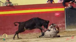 ALCALA de XIVERT 01 Primeros Revolcones del Año CAPEA Cúcala