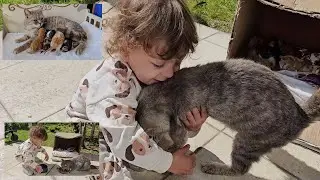 Мой ребенок хочет усыновить каждую брошенную кошку-мать и ее котят, которых он встретит.