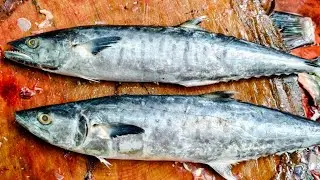 పంజరం ఫిష్ కటింగ్ వీడియో Vanjaram fish cutting video king fish fish cutting skills #fishcuttingvideo