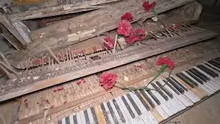Die Villa der Doktoren***Teaser***
