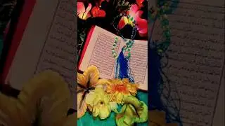 Beutiful Quraan 📗 Beutiful Voice 17/11/25 #ytshorts #trending #islamic #muslim