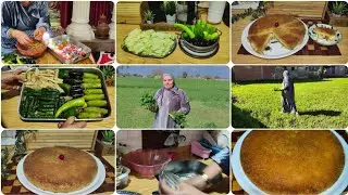 الشبع ربابه مش كتر فلوس💃اتربينا علي شبع العقول مش ملو النطرون👌عملت فطار من بتاع رمضان يشرف والحلو 😘