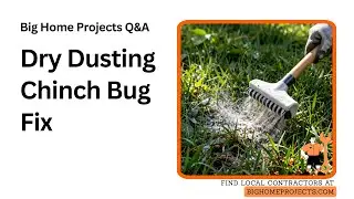 Diatomaceous Earth Dry-Dusting Chinch Bug Technique
