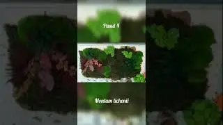 Cum se realizeaza un perete verde? Montaj licheni, muschi si plante stabilizate.