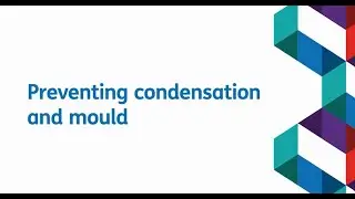 Network Homes guide to preventing condensation and mould