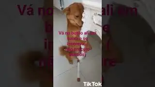 sem sentido