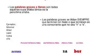 TLR1 4 DIC