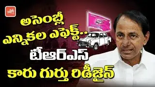 Telangana Elections Effect on TRS Party | CM KCR Plans to Redesign TRS Party Symbol |YOYO TV Channel