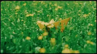 솔솔 solsol '반달 Half Moon' MV