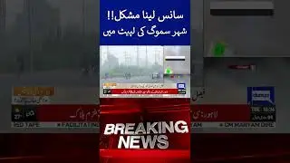 Air Pollution in Faisalabad Reaches Dangerous Levels #viral #shortsfeed #reels