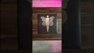 Aurora Выкладываю свою коллекцию виниловых пластинок 🤘 #music #коллекция #винил #vinyl