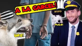 Perro lobo ataca a Skadi: Denuncio?