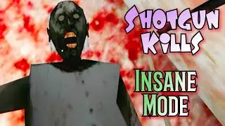 Shotgun Shots In Granny Insane Mode (Unofficial)