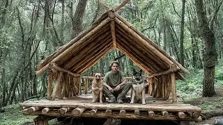 Solo Girl Built A Hidden Shelter Under A Giant Rock Primeval Survival