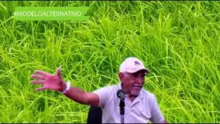 Modelo Alternativo para la Producci&oacute;n Ganadera 4