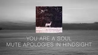Mute Apologies in Hindsight | Ambient Post-Rock Visual