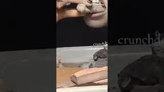 Crunchy stones eating video | crunch desire fan | #ytshorts #food #viral