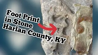 Mystery Rock a Geological Anomaly or Evolution Buster #shorts