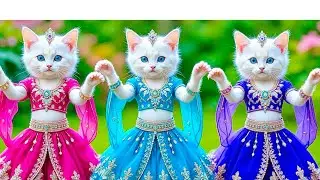 Cutest Cat videos funny dance🤣💃Videos for cats