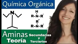 AMINAS SECUNDARIAS y TERCIARIAS - Teoría - QUÍMICA ORGÁNICA
