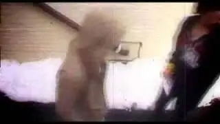 Safe As Houses - In All Honesty