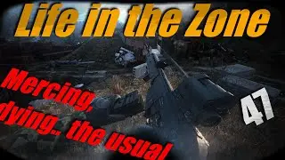 Life in the Zone: Anomalies are great!