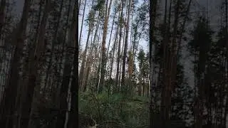 Ukraine - 18.10.2022. Ukrainian Soldier Recording Russian Artillery Shelling His Units Positions.