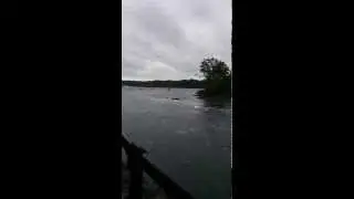 Saco Island