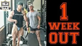 1 WEEK OUT | REGIONAL QUALIFIER | CLASSIC PHYSIQUE