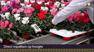Eenvoudig planten op hoogte sorteren met sorteersysteem