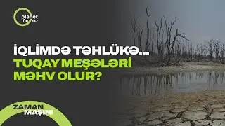 Ekskluziv açıqlama! - Tuqay meşələrini nə məhv edir? - Azərbaycan iqlimində iqlim dəyişikliyi