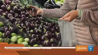 Weight loss tips for your New Year's Resolution