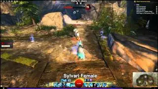 GW2 Dragonhunter skill animations on all races and genders