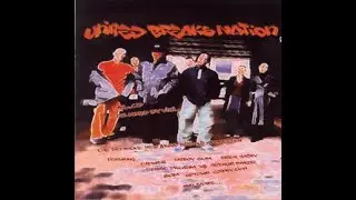 VA - United Breaks Nation [full compilation] [320 kbps]