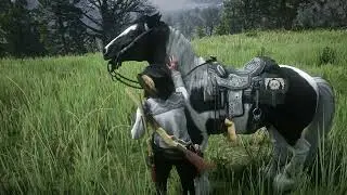 Red Dead Online | Gypsy Cob Piebald