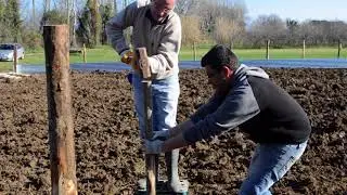 Biocl&egrave;- Inserimento pali per recinti interni
