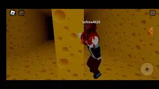 играю с сестрой в крысу.