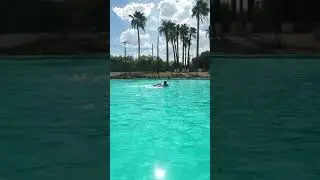 Parque viveros alberca en Nuevo Laredo.