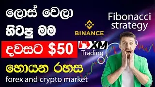 Binance Fibonacci retracement Strategy | SMC Trading Sinhala | xm